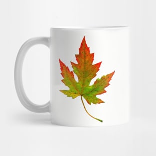 autumn leaf Mug